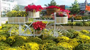 Spring Flower Festival 2017 to open Jan. 20