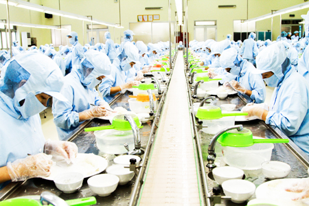 Prompt production at Khanh Hoa Salangane Nest Material Processing Factory