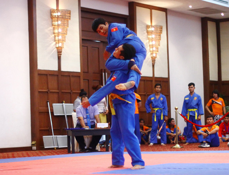 Impressive achievements of Vietnam's martial arts teams in early 2017