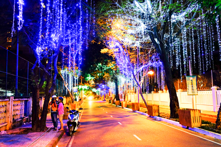 Khanh Hoa: Illuminated festive decorations