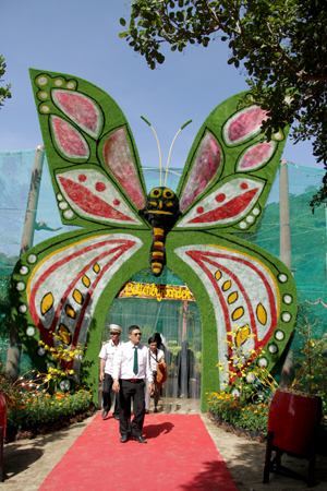 Butterfly garden on Hoa Lan island