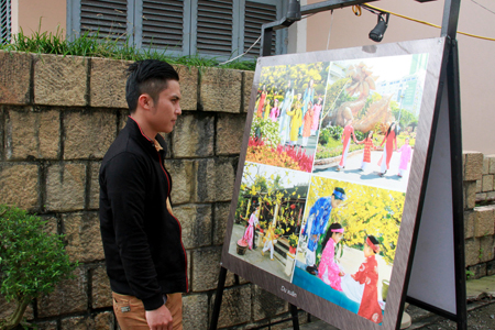 Visitor contemplating images of Lunar New Year.