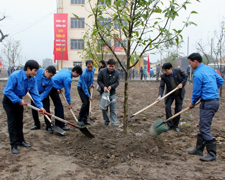Tree-planting launched