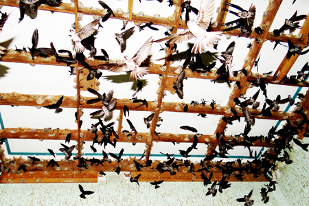 Science and Technology awards presented