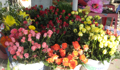 Flower prices rise on Women's Day occasion
