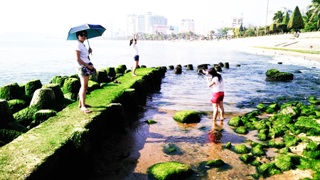 Moss-grown rocks on Nha Trang beach