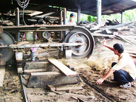 Wood processing in Phuong Dai Private Business, Khanh Son District