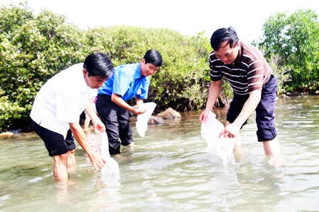 Breeders released in Nha Phu Swamp