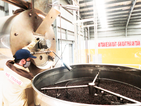 Coffee export turnover of Khanh Hoa Province in first quarter of 2017  rises by 96.3% year-