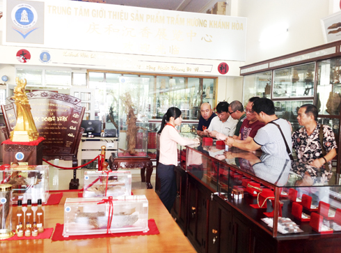 For sustainable development of Khanh Hoa agarwood industry