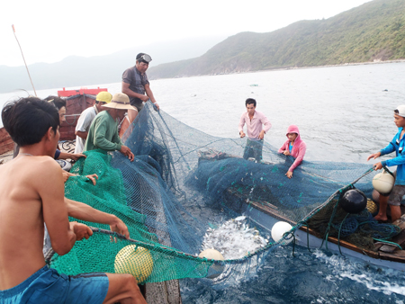 4-month fishing yield hits 553 tons