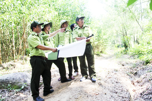 Hon Ba Natural Reserve: forest fire control and prevention boost