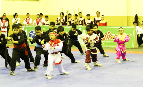 Stable development of Khanh Hoa's young traditional martial arts team
