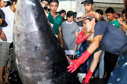 Fishing yield hits over 53,000 tons