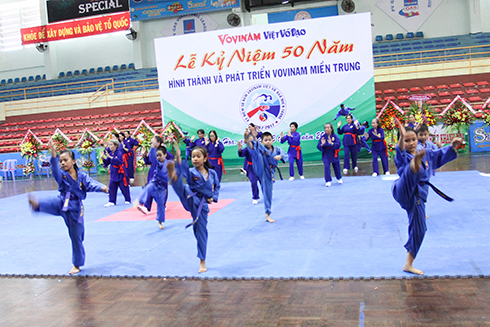 Practitioners performing vovinam techniques.