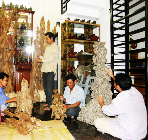 Manipulating aloe wood in Van Thang Commune, Van Ninh District