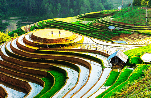 Photo “Terraces in Mu Cang Chai 9”