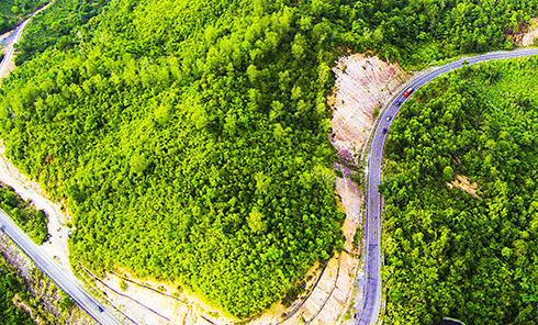 A view of forests in Khanh Vinh District, Khanh Hoa Province