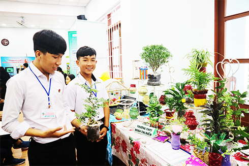 Students' creative environmental initiatives