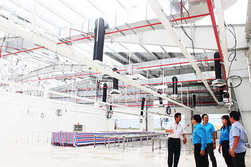 Support for tax payers affected by Typhoon Damrey