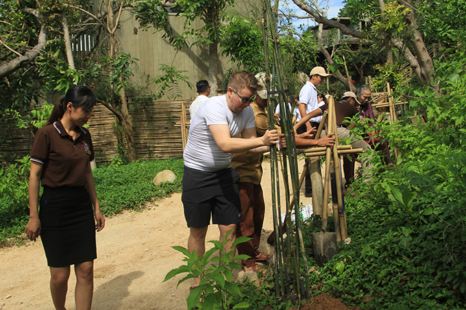 Growing green trees at An Lam Retreats resort