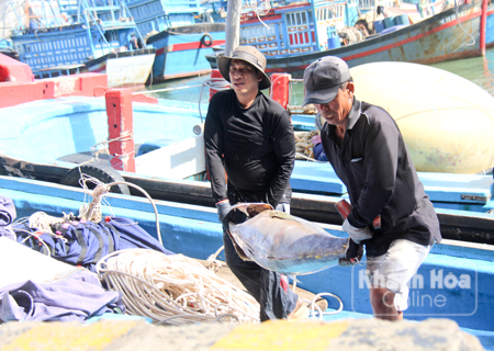 Fishery yield of Cam Lam District in 2017 reached 1,758 tons
