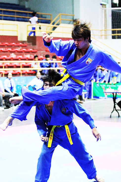 Khanh Hoa's high achievement sports: proposals for development