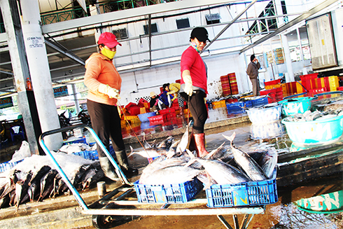 Fishing yield hits 10,880 tons