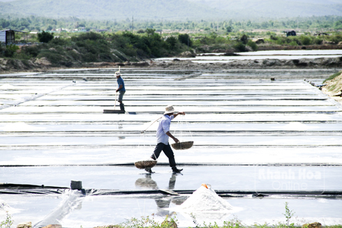 Salt production reaches over 1,000 in first quarter