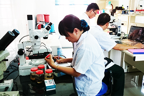 Scientific research boost