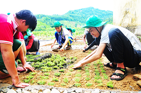 Ready for 2018 Green Summer Campaign