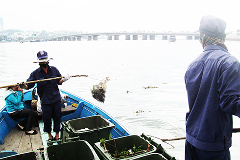 Protecting the environment of Nha Trang Bay