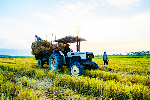 Dien Khanh keeps looking for effective economic models