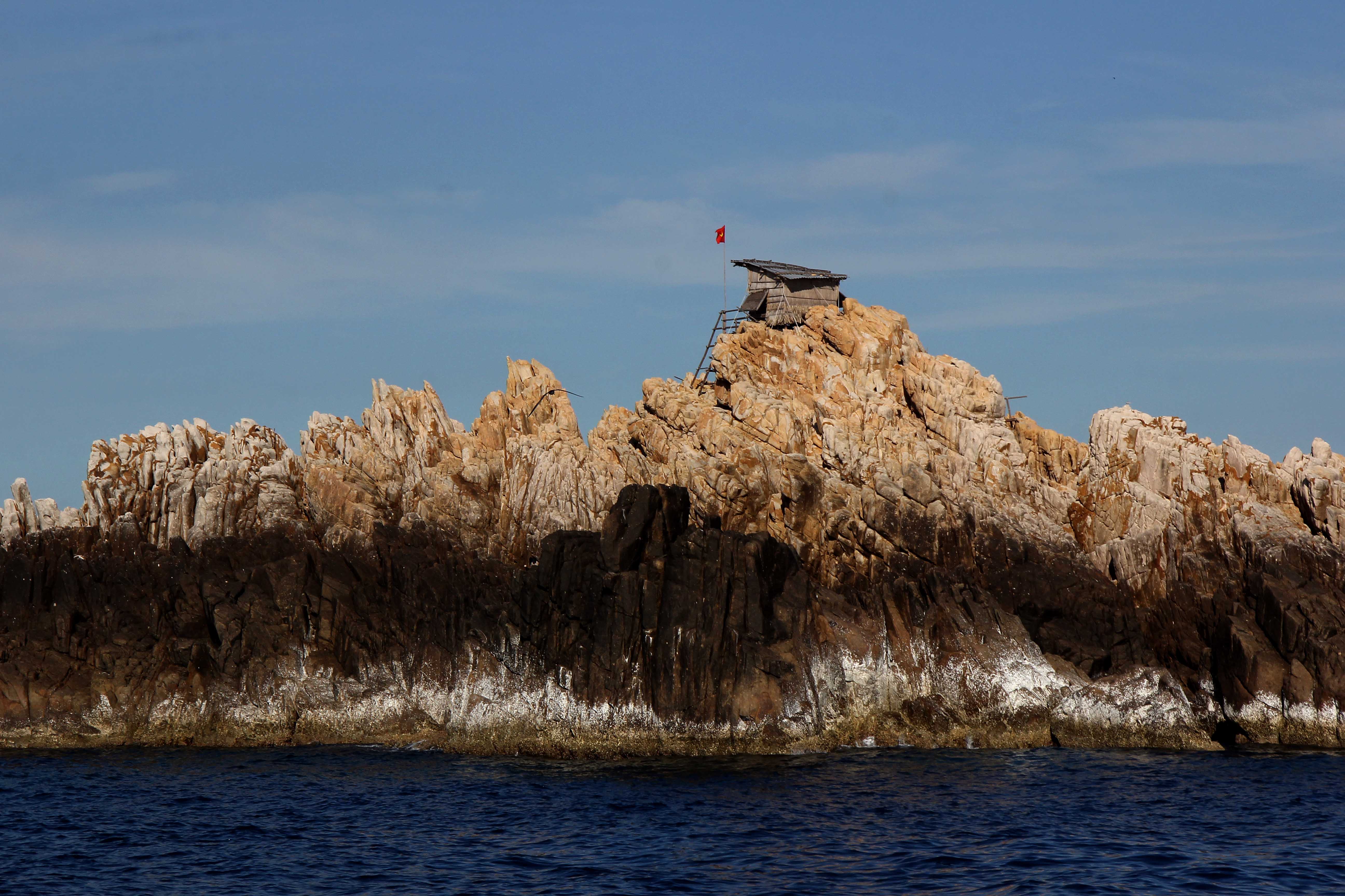 Swiftlets build their nests on cliffs