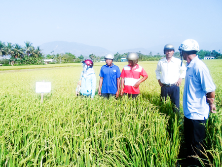 VND765 million for agriculture encouragement