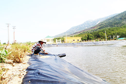 A corner in Ninh Van