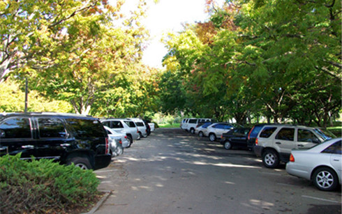 On-street car parking fee collection to be piloted