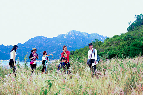 Tourists visiting pink grass hill on Binh Ba island