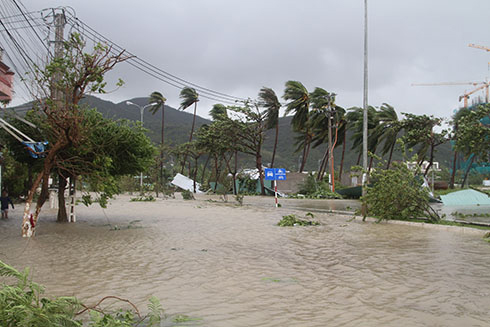 Storm damage tops VND228b