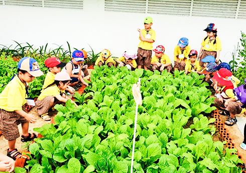 Preschool learner centeredness