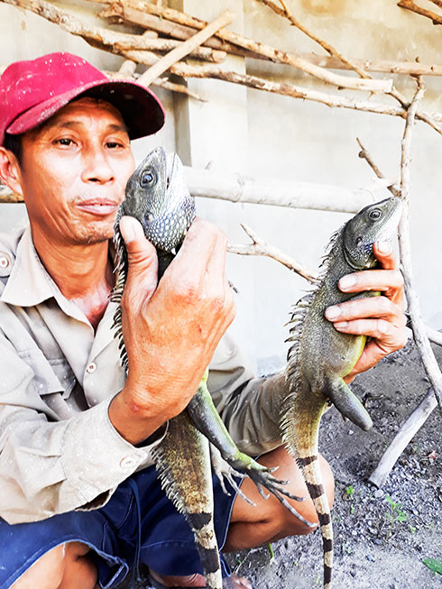 A man earning well by raising water dragons