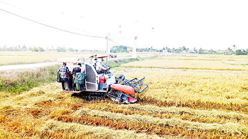 Many good models of building cultural life