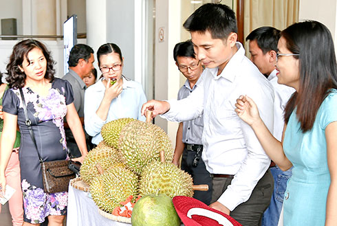 Developing VietGAP durians in Khanh Son District