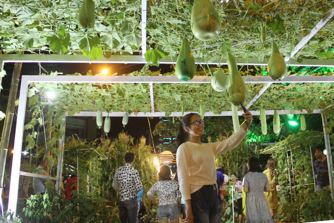 Posing for photos with opo squash trellis…