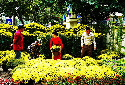 Tet flower market in Nha Trang