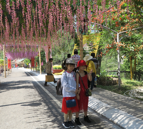 Posing for photo under flower trellis