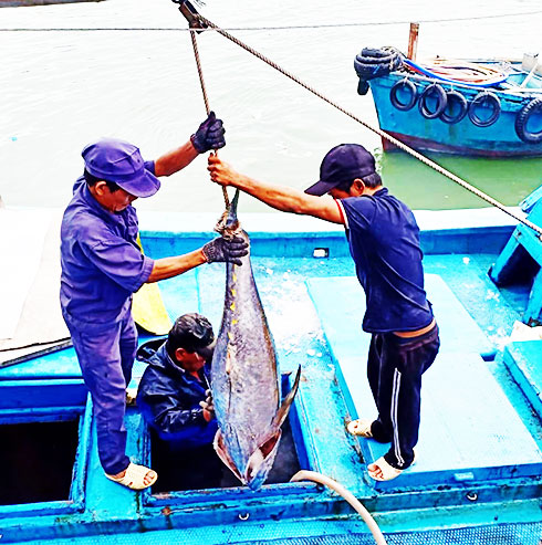 Fishermen 