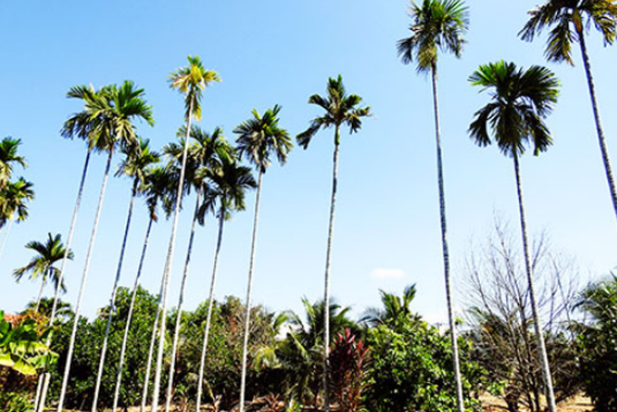 An interesting village road in Nha Trang