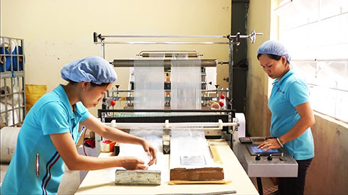 Production line in Hai Nam Co., Ltd.