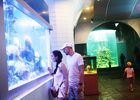 Features of Nha Trang Oceanographic Museum